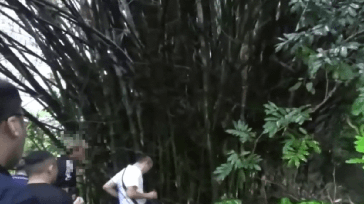 新北父伴兒屍6年才棄屍山區,警方找到骸骨。(圖/記者爆料網) 新北父伴兒屍6年才棄屍山區,警方找到骸骨。(圖/記者爆料網)