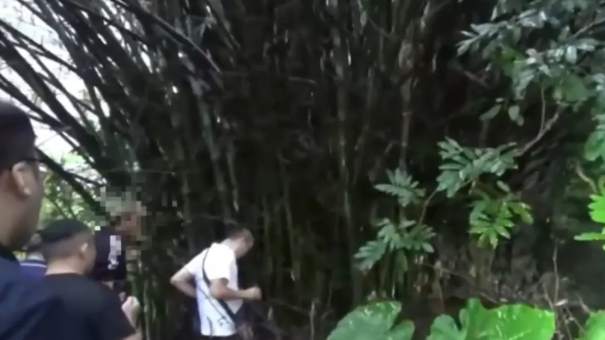 新北父伴兒屍6年才棄屍山區,警方找到骸骨。(圖/記者爆料網)