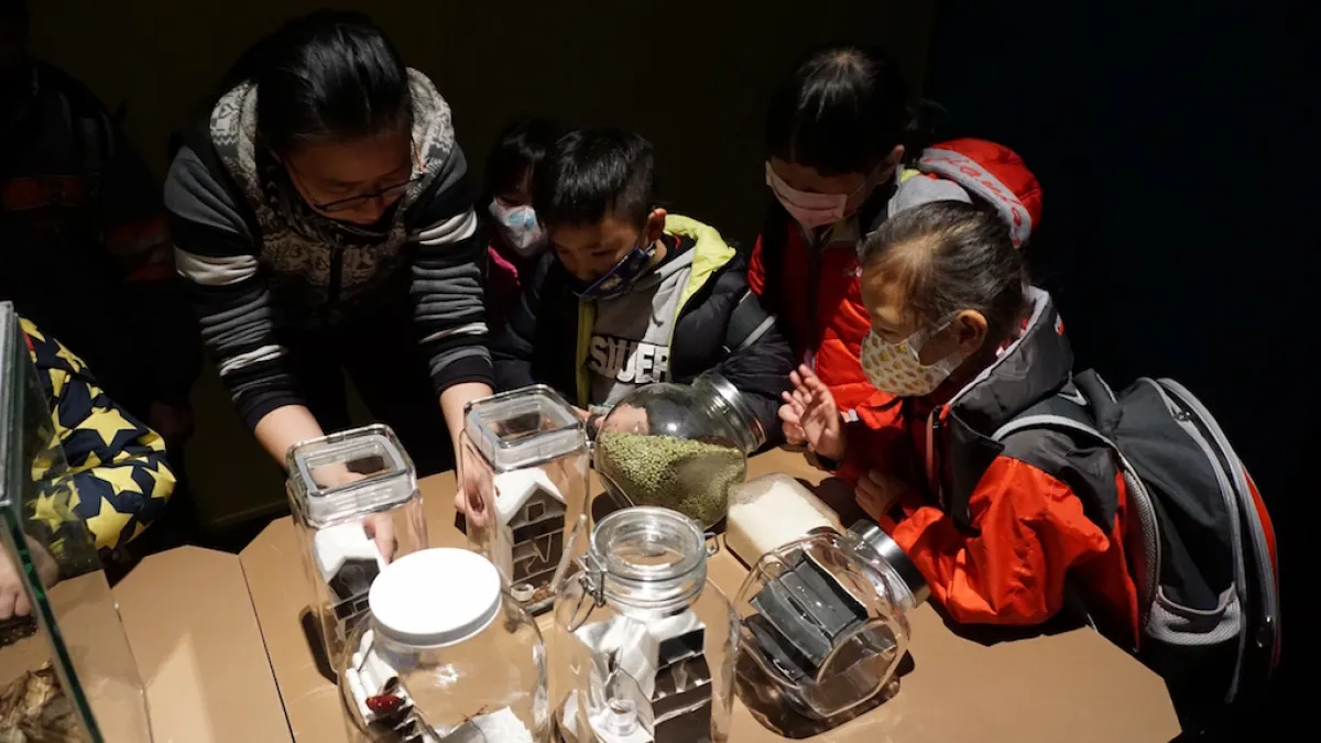 國立自然科學博物館推出《我家蟲住民》特展,讓民眾在輕鬆情境中,實地了解常出現於家中的節肢動物種類及其棲息環境。(圖/國立自然科學博物館提供)