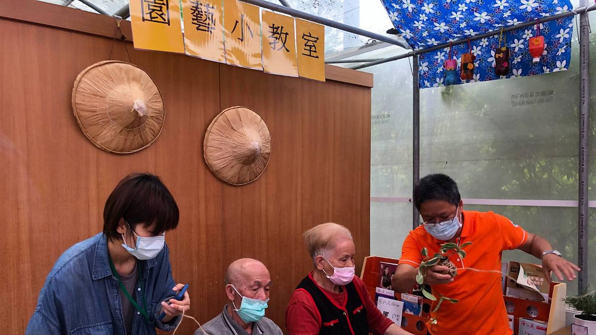 將綠療概念導入農村社區,豐原區田園老人渡假養護中心的園藝小教室。(圖/台中市政府提供) 將綠療概念導入農村社區,豐原區田園老人渡假養護中心的園藝小教室。(圖/台中市政府提供)