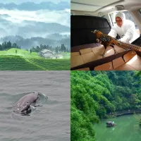 World Environment Day: Hubei, where nature thrives World Environment Day: Hubei, where nature thrives