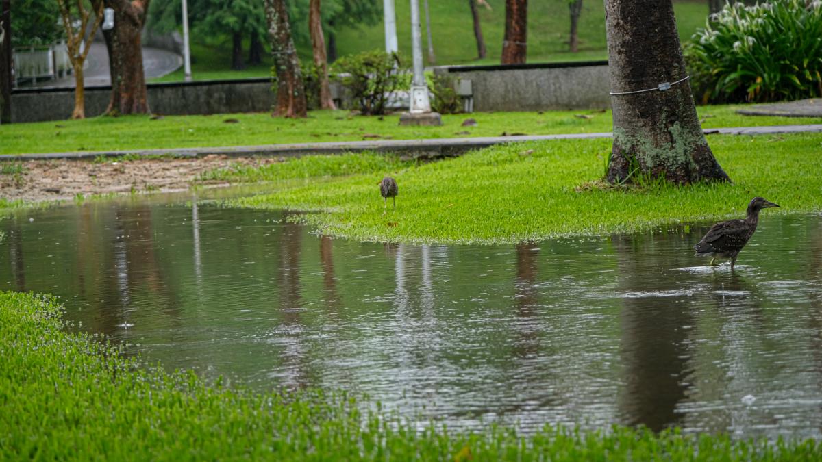 嚴防土石流、積淹水!豪雨狂炸全台2死2失蹤 消防署:民眾務必做好4防範