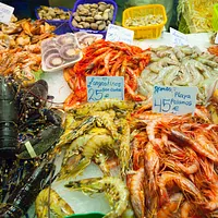 台灣曾以一個彈丸小島,創造出每年近10萬公噸的養殖草蝦產量,還大量外銷日本市場,賺取巨額外匯。(資料照,取自freepik) 台灣曾以一個彈丸小島,創造出每年近10萬公噸的養殖草蝦產量,還大量外銷日本市場,賺取巨額外匯。(資料照,取自freepik)