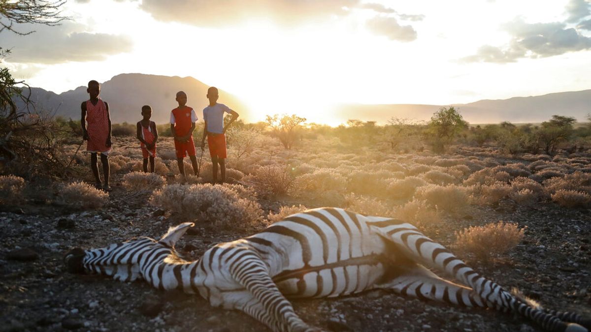 肯亞2022年遭遇數十年來最嚴重的乾旱。(AP) 肯亞2022年遭遇數十年來最嚴重的乾旱。(AP)
