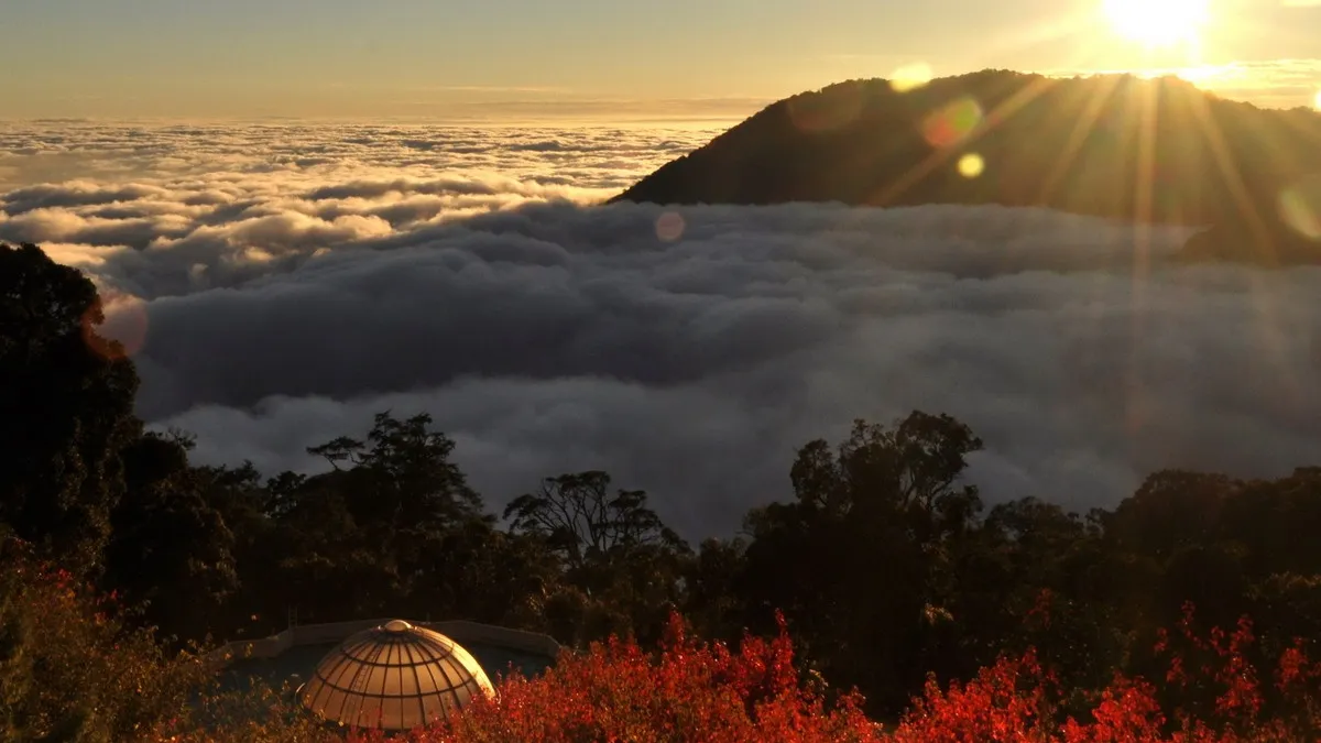 元旦連假何處去 大雪山觀賞壯闊雲海
