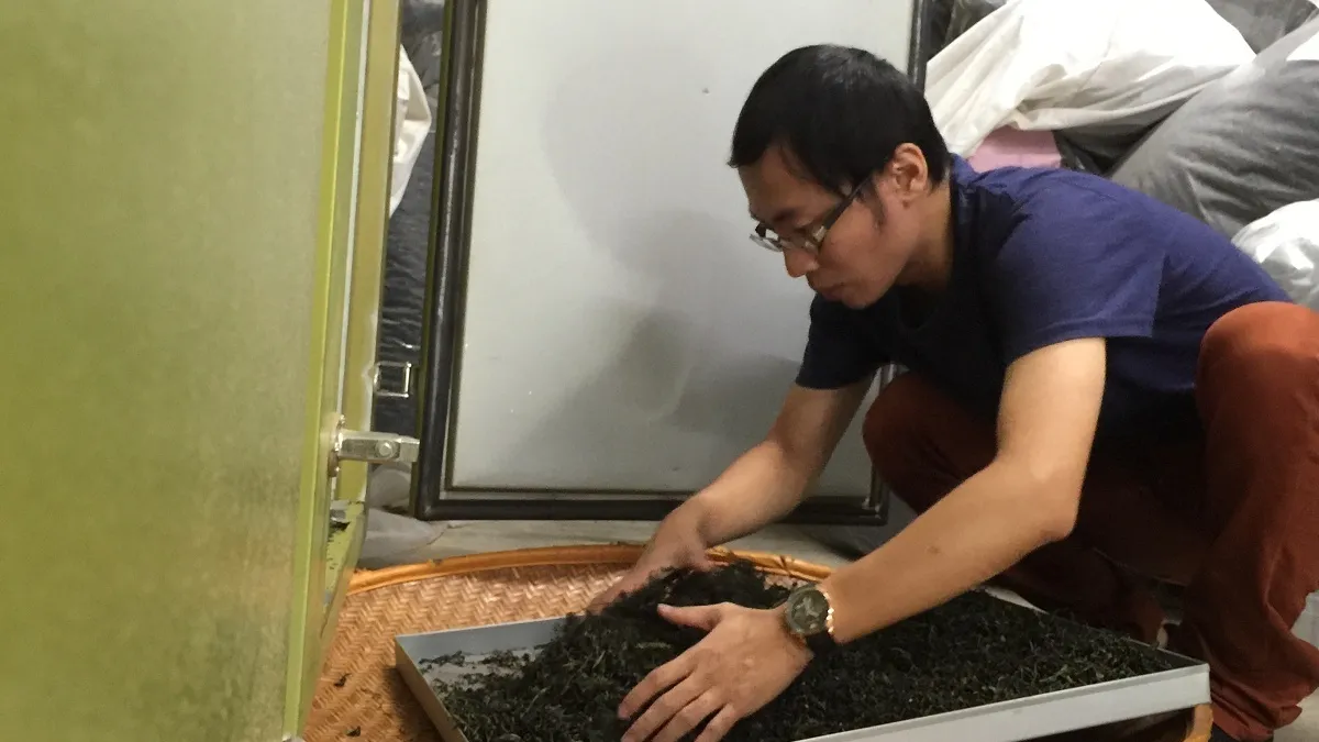 參與國際茶賽榮獲雙金 坪林青年茶農馮懷謹揚名國際