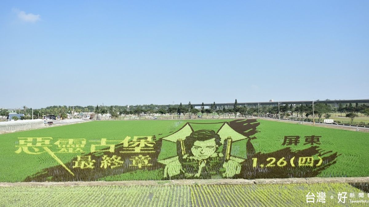 蜜拉喬娃維琪訪寶島 喜見形象彩稻讚農民 蜜拉喬娃維琪訪寶島 喜見形象彩稻讚農民