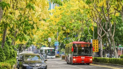 街頭綻放的阿勃勒不只是觀賞用植物,如今也成了生物科技界的明日之星,中原大學將其果實,變成嶄新的酵素軟糖。(圖/中原大學提供)