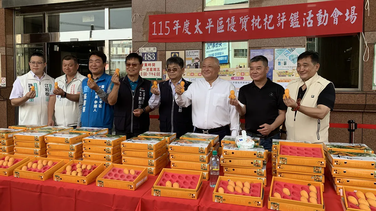 台中市政府農業局輔導太平區農會於26日舉辦「115年度台中市太平區優質枇杷評鑑活動」。(圖/台中市政府)