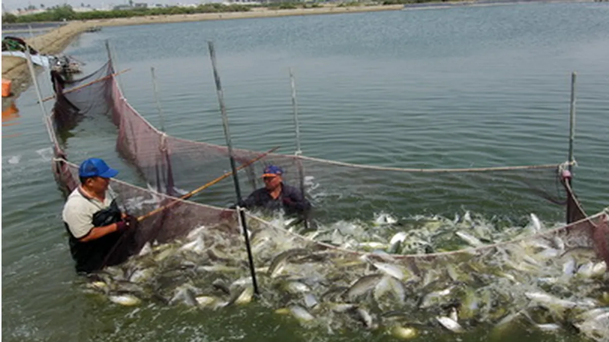 大陸停止對台虱目魚契作,使國內漁業大受打擊,台南漁民於是組「千歲團」遠赴北京請願。(台灣社區通網站)