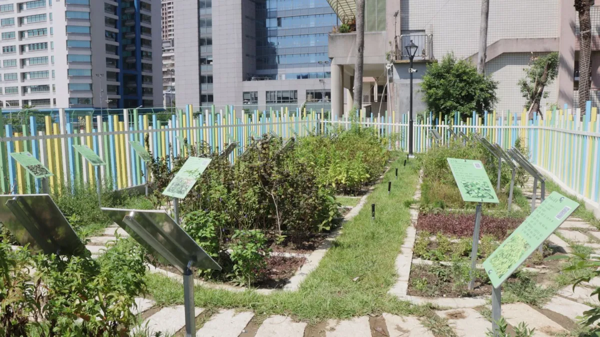 三重興榖國小旁神農百草公園完工啟用,園中的植栽和藥草園區成為興榖國小小朋友的最佳戶外教學場地。(圖/新北市工務局提供)