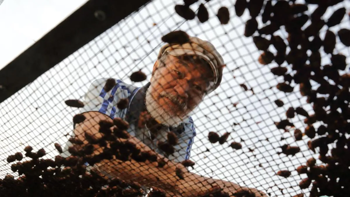 「邱氏巧克力」是屏東第一個本土巧克力品牌,創辦人邱銘松的可可豆甚至外銷到日本、韓國、香港。(圖/食力foodNEXT提供)