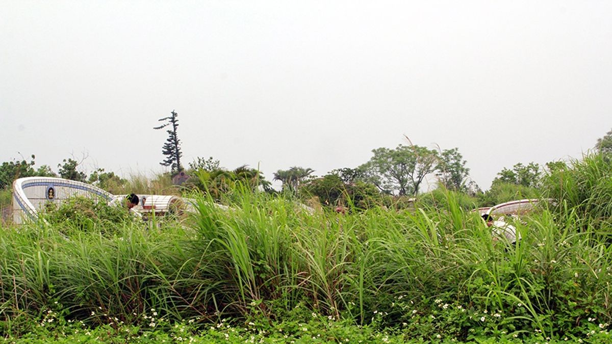 清明入草叢 慎防蟲蟲肆虐 清明入草叢 慎防蟲蟲肆虐