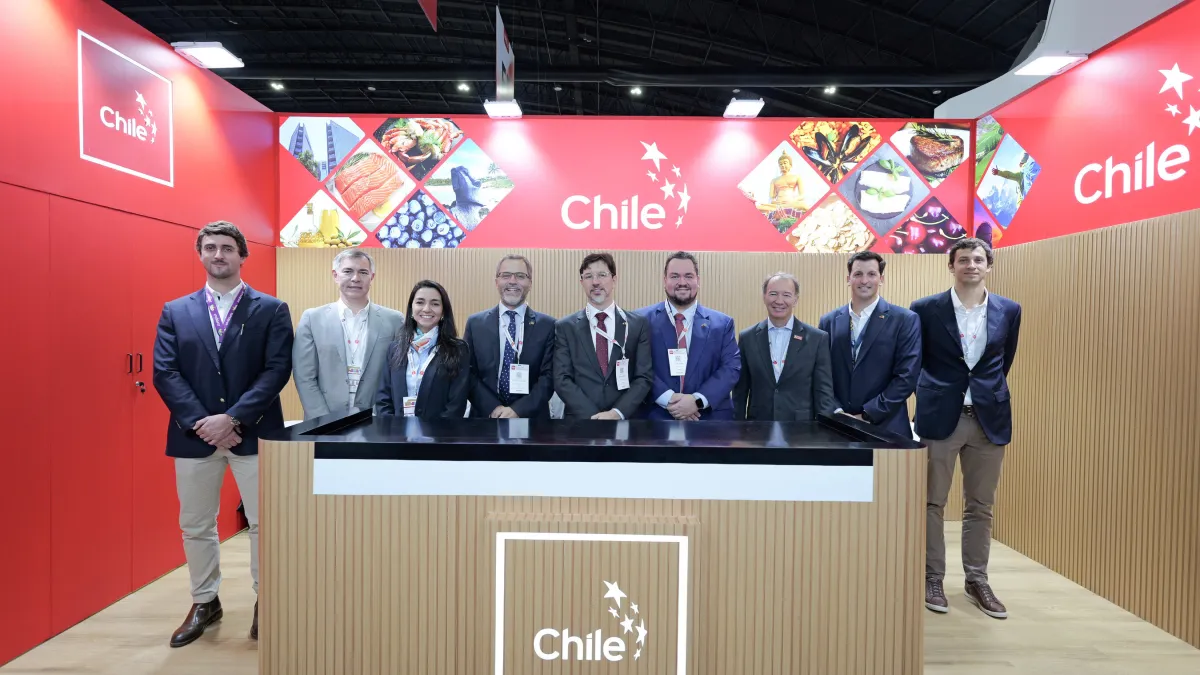 Singapore Emerges as Chile's Leading Services Hub in ASEAN
