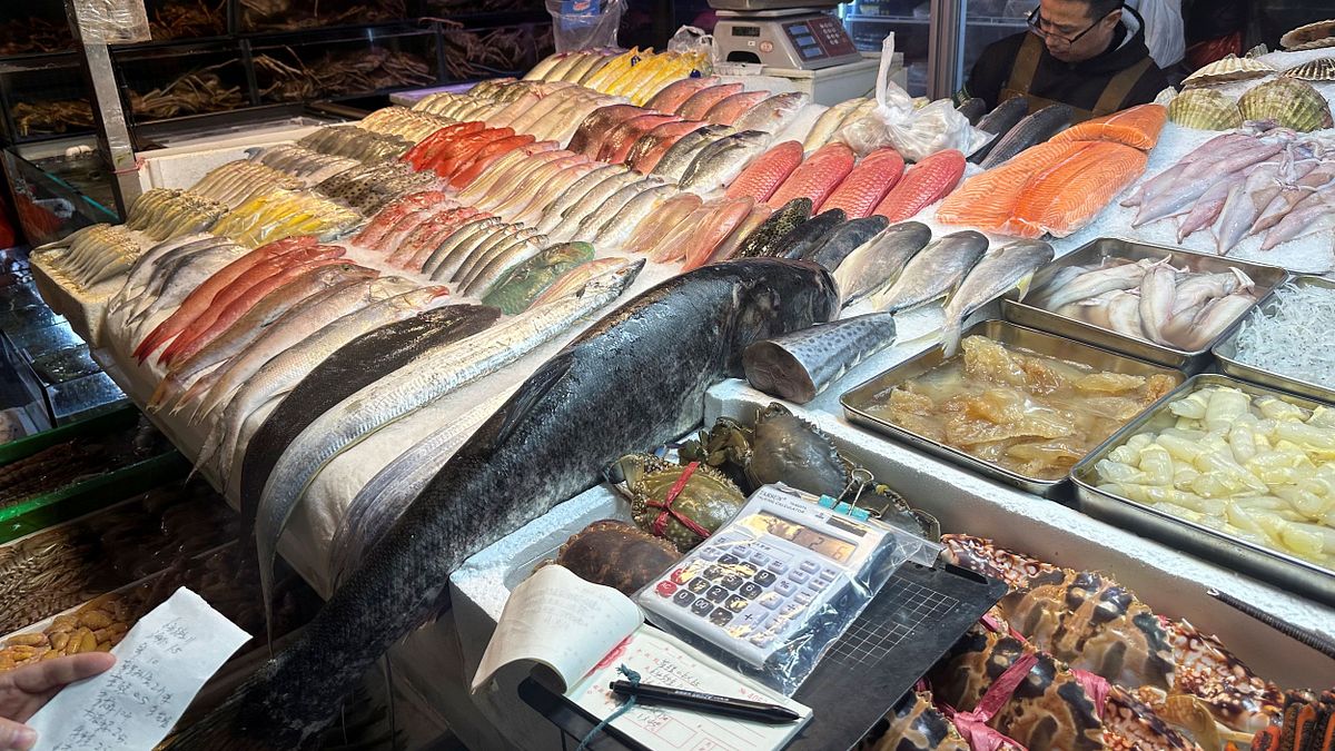 禁日本水產改進印度海鮮?中國網友反應炸鍋 嚇壞直呼:來了一個更狠的