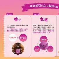 ロッテは約3年ぶりのハードグミ新ブランド「KAZITTE!」を立ち上げ、9月16日から先行発売すると発表した。(写真/株式会社ロッテ提供) ロッテは約3年ぶりのハードグミ新ブランド「KAZITTE!」を立ち上げ、9月16日から先行発売すると発表した。(写真/株式会社ロッテ提供)