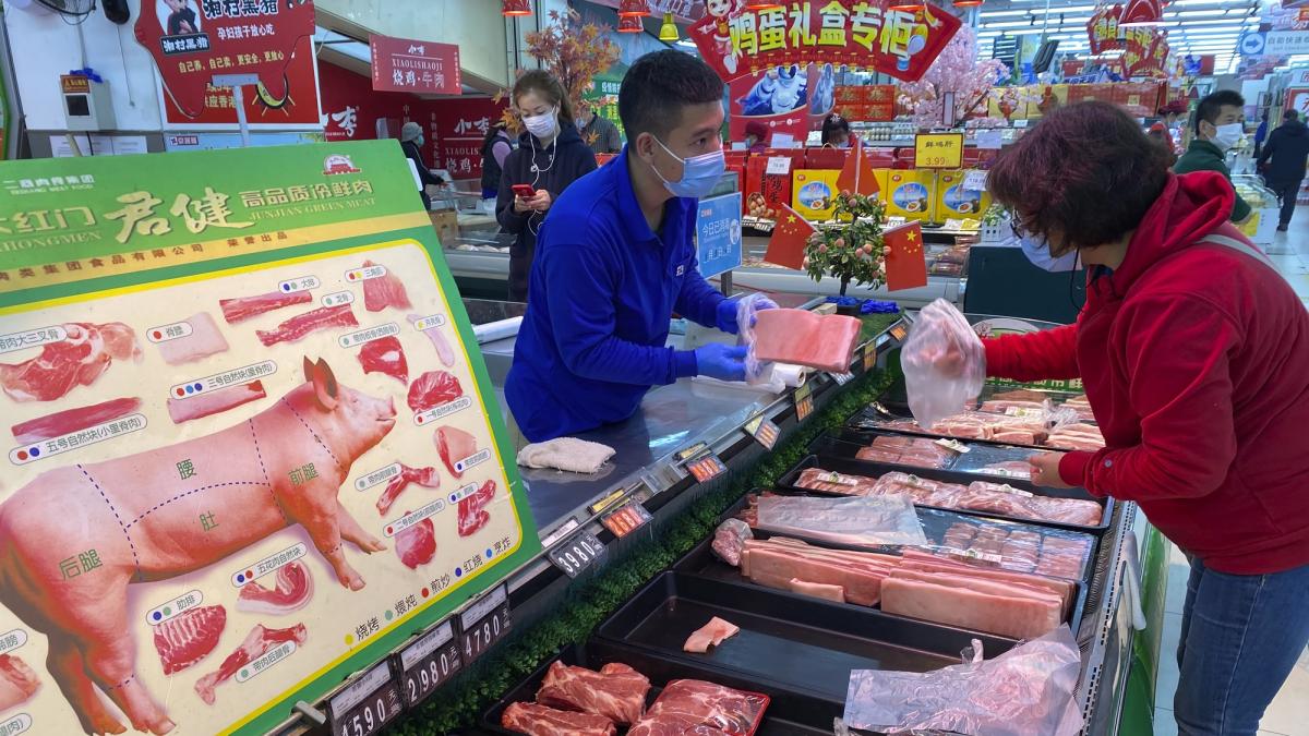 國際看門道:豬價崩跌創16年新低,為何是中國經濟的致命凶兆?