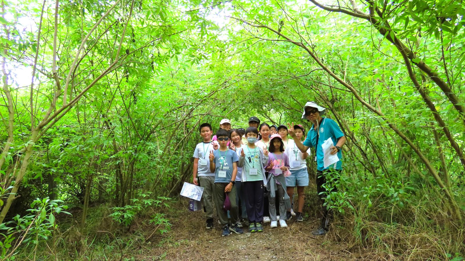 高雄茄萣荒地變身濱海生態樂園!海桐花開蜂蝶飛舞 4年復育讓土地重現生機