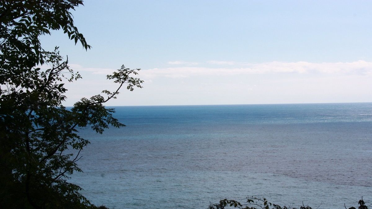 節省土地資源 中彰投苗4縣市首辦海葬 節省土地資源 中彰投苗4縣市首辦海葬