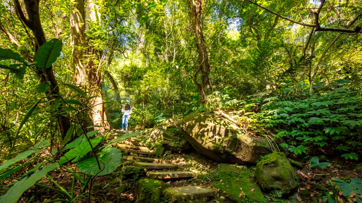 大板根森林溫泉酒店擁有豐富的低海拔熱帶雨林及優質溫泉。(圖/大板根森林溫泉酒店提供) 大板根森林溫泉酒店擁有豐富的低海拔熱帶雨林及優質溫泉。(圖/大板根森林溫泉酒店提供)