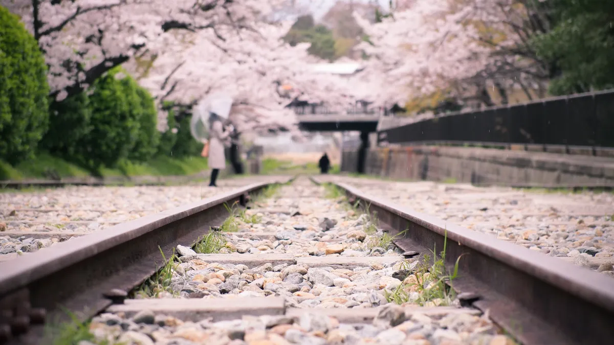 (圖/PROryuta kawakami@Flickr)