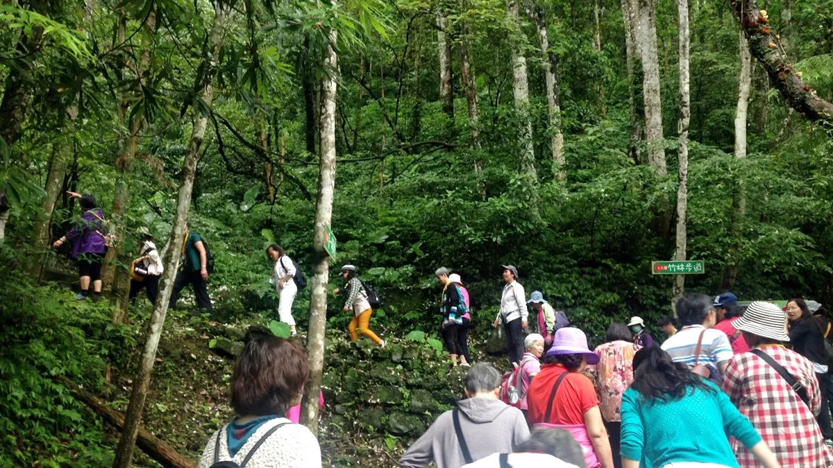 康乃馨姐妹會520出遊 乳癌病友登山享樂活