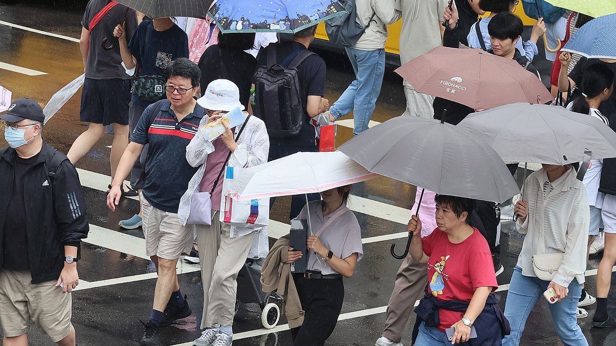 休假有望+1?綠營提選舉放2天民主假「投票前一日也放」,反制藍白不在籍投票