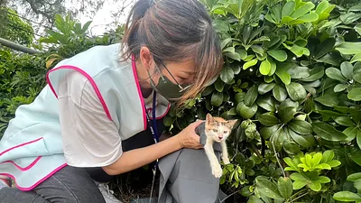 新竹市府已開通1959動物保護專線窗口,並委託廠商24小時受理動保案件通報與執行。(圖/新竹市政府提供)