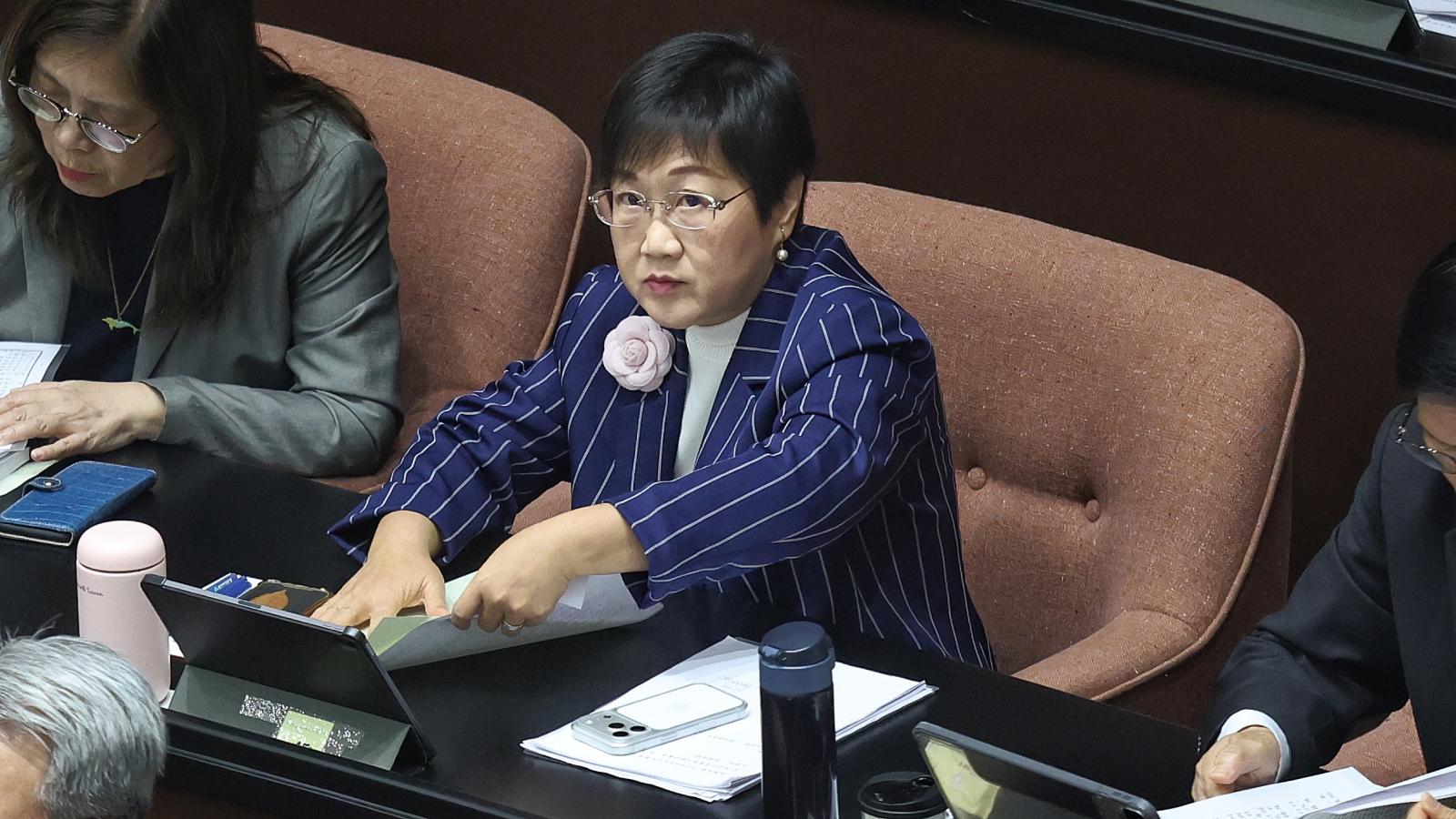 徐佳青稱兒子隨行是「基本人權」 白營追問4大疑點:請辭負責!