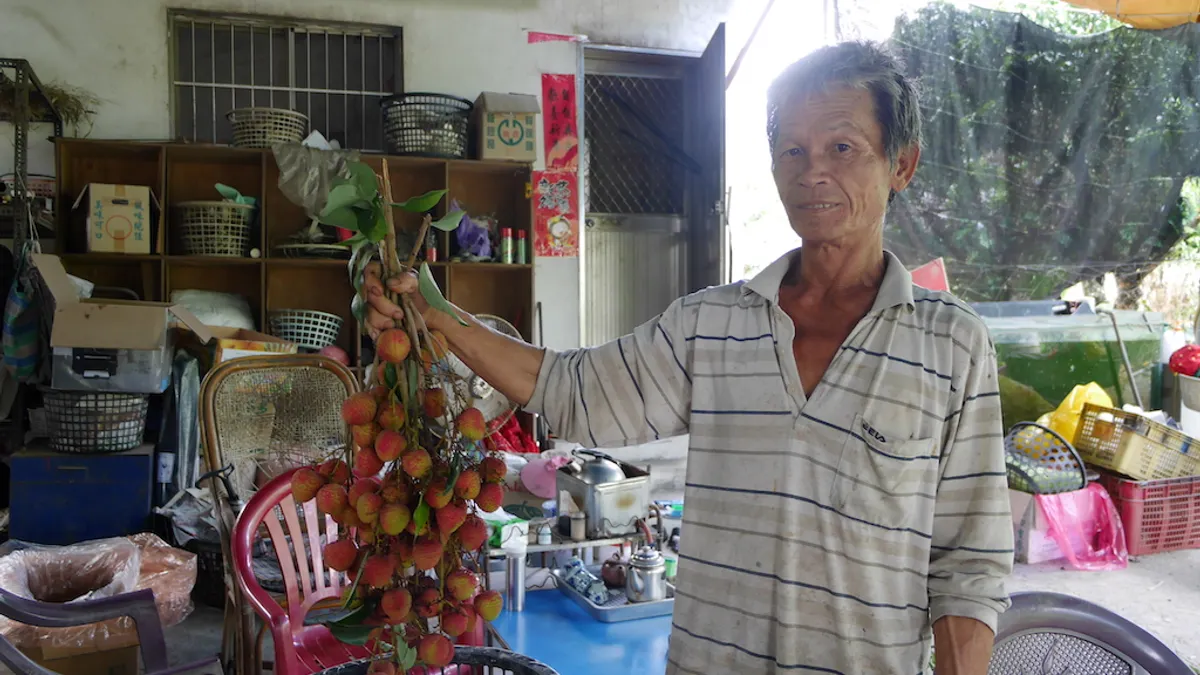 農友吳吉祥使用甲宸生技「佳有酵益生菌營養劑」,玉荷包採收豐碩。(圖/甲宸生技提供) 農友吳吉祥使用甲宸生技「佳有酵益生菌營養劑」,玉荷包採收豐碩。(圖/甲宸生技提供)