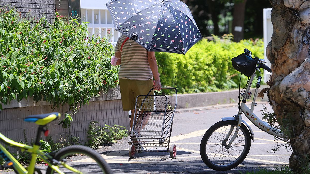 停砍軍公教年金審查激戰!綠曝55%國人挺年改 羅智強轟冷血:踐踏退休公務員