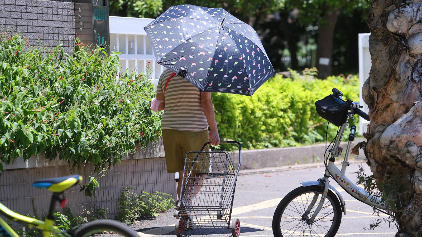 65歲長輩快領錢,12天後就失效?敬老禮金領取方式一覽:最高不只萬元現金