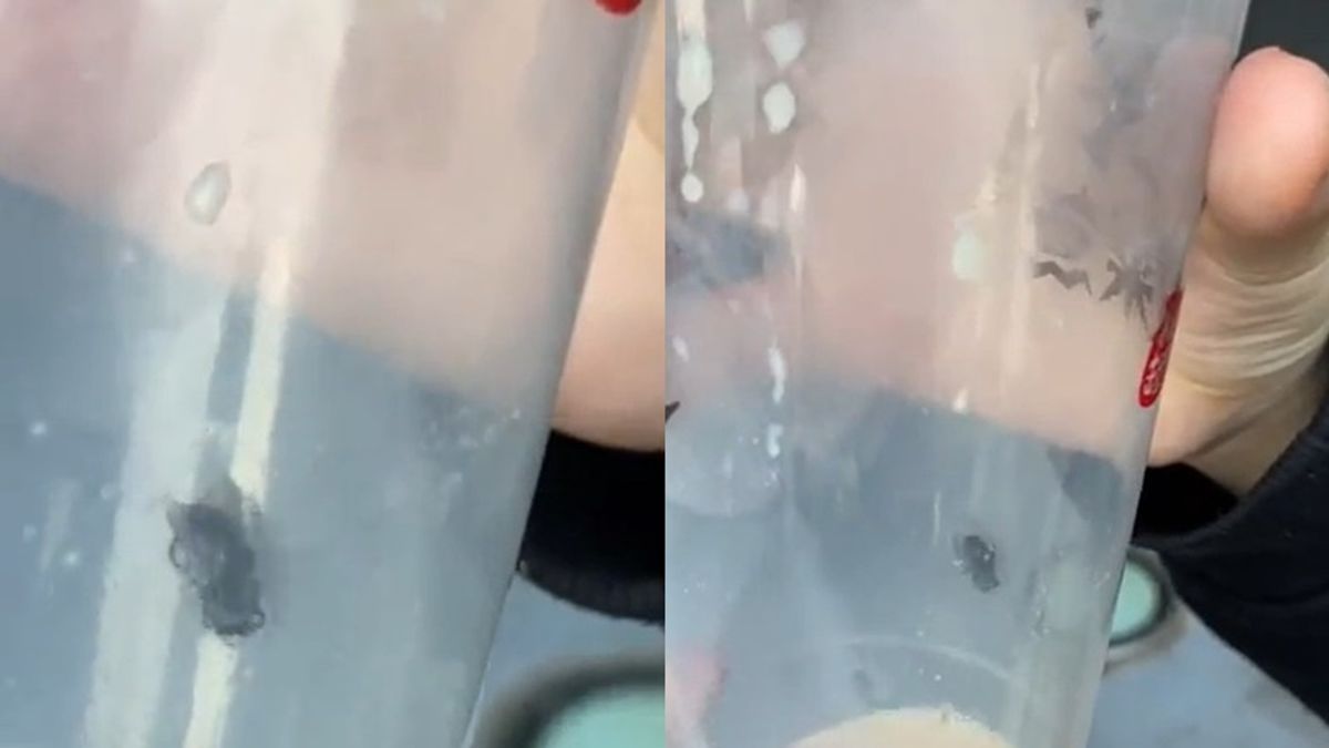 酸菜魚名店奶茶裡驚見蒼蠅!(圖/翻攝自Dcard) 酸菜魚名店奶茶裡驚見蒼蠅!(圖/翻攝自Dcard)