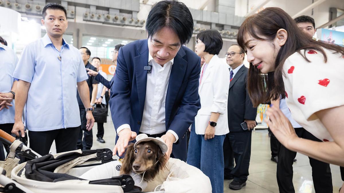 賴清德吃狗糧嚇傻隨扈 郭正亮酸「選情急了」:在台南姿態那麼高,要老人爬屋頂