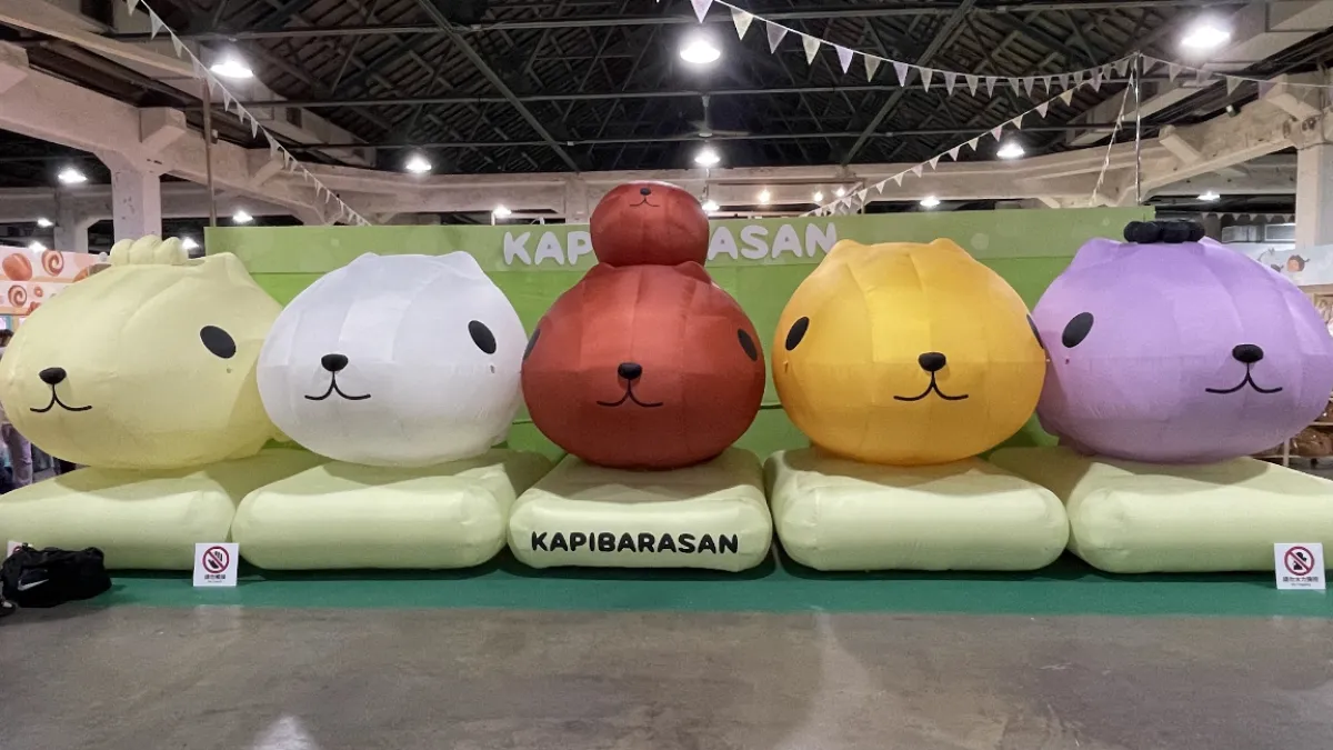 療癒系巨星水豚君回來啦!(圖/業者提供)