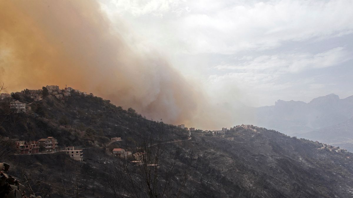 8月10日,阿爾及利亞提濟烏祖的山區發生野火(美聯社) 8月10日,阿爾及利亞提濟烏祖的山區發生野火(美聯社)