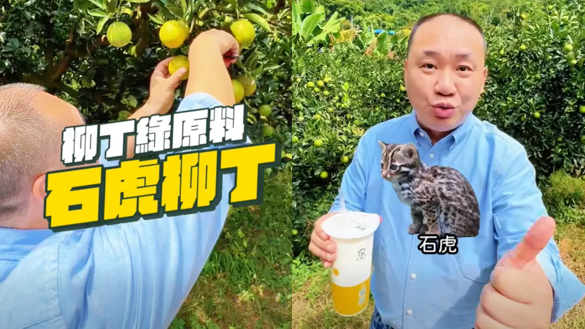 石虎友善農作惹爭議!農場曝大苑子「承諾跳票、影片照上」。(圖/rtchious.tw@facebook) 石虎友善農作惹爭議!農場曝大苑子「承諾跳票、影片照上」。(圖/rtchious.tw@facebook)