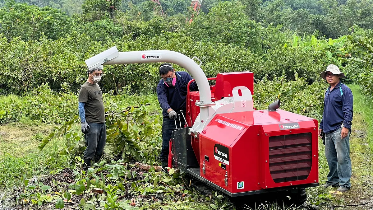 南投、屏東與嘉義為檳榔主要產地,檳榔農表示,政府推動的農業轉作計劃成效有限,改種油茶或果樹的成本、技術門檻高,令許多農民陷入兩難。(示意圖/高市農業局提供) 南投、屏東與嘉義為檳榔主要產地,檳榔農表示,政府推動的農業轉作計劃成效有限,改種油茶或果樹的成本、技術門檻高,令許多農民陷入兩難。(示意圖/高市農業局提供)