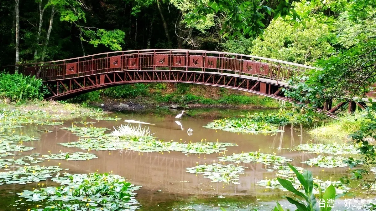 歡慶奧萬大7/1生日 當日入園一律10元優惠