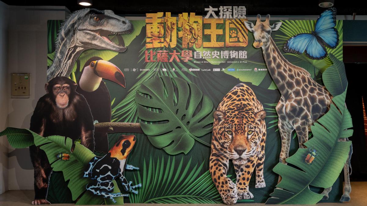 世界級動物王國登台 六大生態沉浸探險暑假開跑
