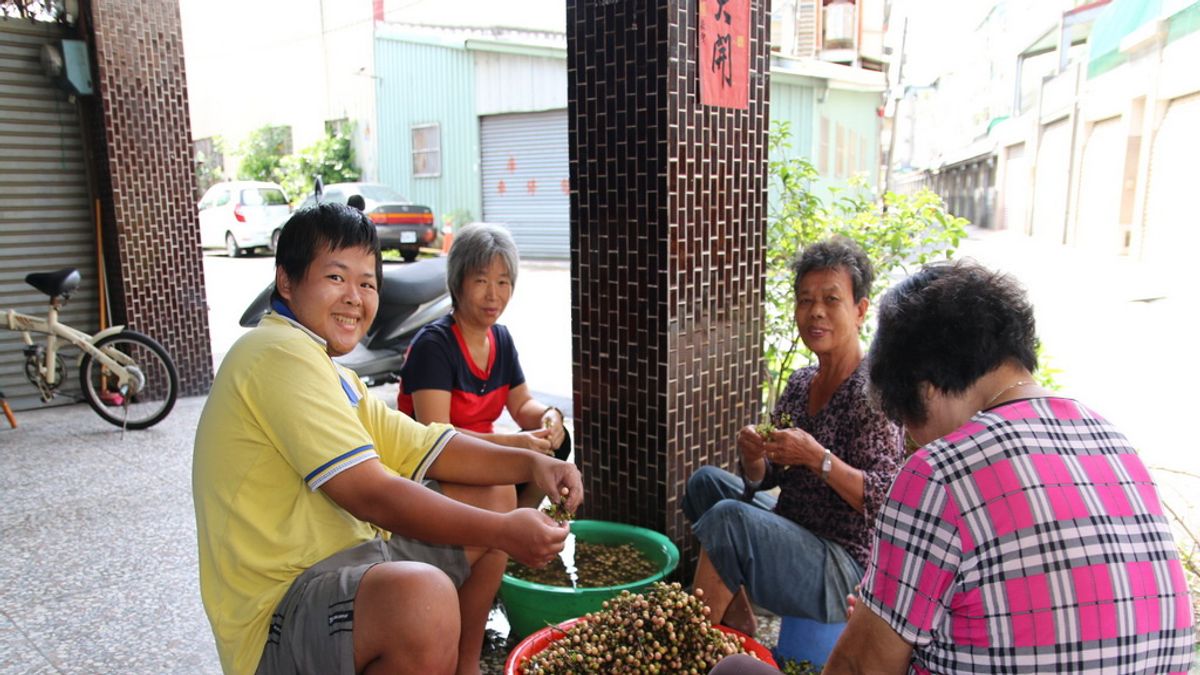 農民忙加工 大里破布子趕採收 農民忙加工 大里破布子趕採收