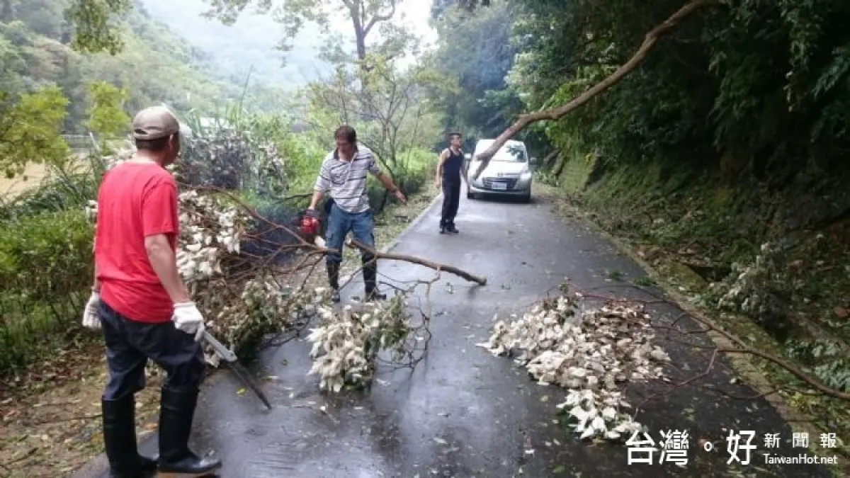 桃園風管處清理殘枝落葉 園區29日恢復營運