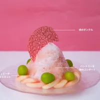 信州深層純氷で作る「桃×シャインマスカット」の贅沢なかき氷が小田急ホテルセンチュリーサザンタワーに登場。(写真/小田急ホテルセンチュリーサザンタワーPR事務局提供) 信州深層純氷で作る「桃×シャインマスカット」の贅沢なかき氷が小田急ホテルセンチュリーサザンタワーに登場。(写真/小田急ホテルセンチュリーサザンタワーPR事務局提供)