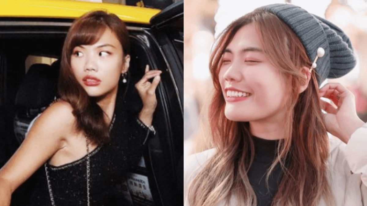 小象先前被質疑酒駕,如今又被爆違法招募旅遊團,風波不斷。(圖/翻攝自IG@elephant_gogo) 小象先前被質疑酒駕,如今又被爆違法招募旅遊團,風波不斷。(圖/翻攝自IG@elephant_gogo)