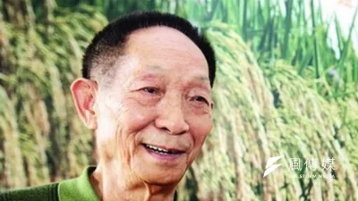 中國水稻之父袁隆平獲2014年諾貝爾和平獎提名。(取自網路)