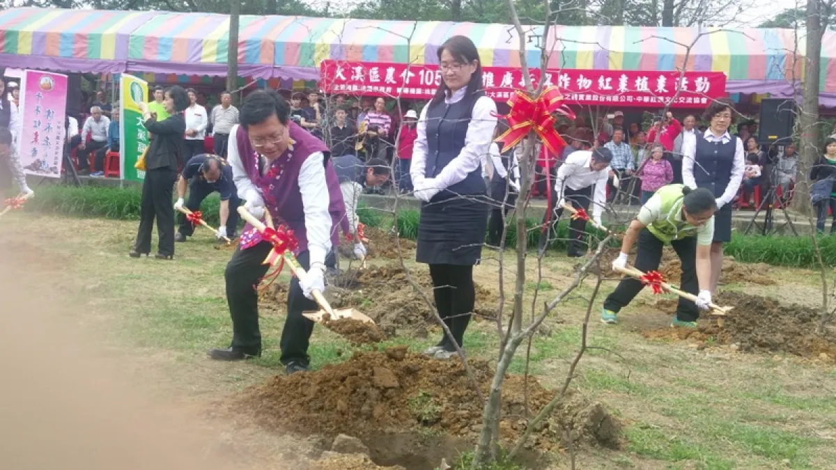 大溪區農會極力爭取下 桃園市將有紅棗專業區