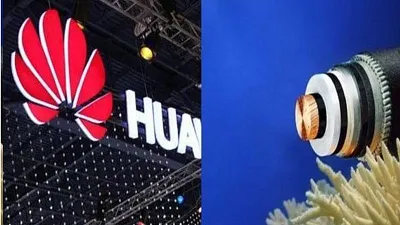 華為公司參與了巴基斯坦的通訊光纜鋪設工程。華為公司還有鋪設海底光纜業務。(BBC News中文)