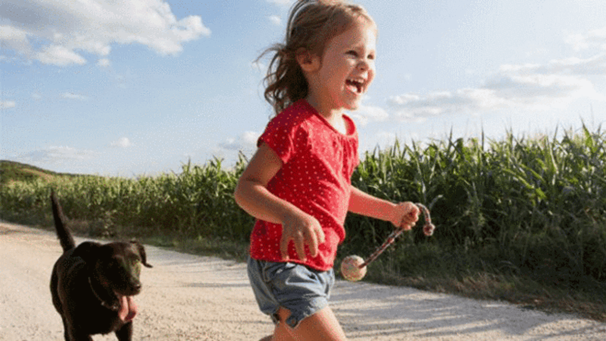 從小和寵物狗打交道可能會增強孩子體內的免疫力。(BBC中文網) 從小和寵物狗打交道可能會增強孩子體內的免疫力。(BBC中文網)