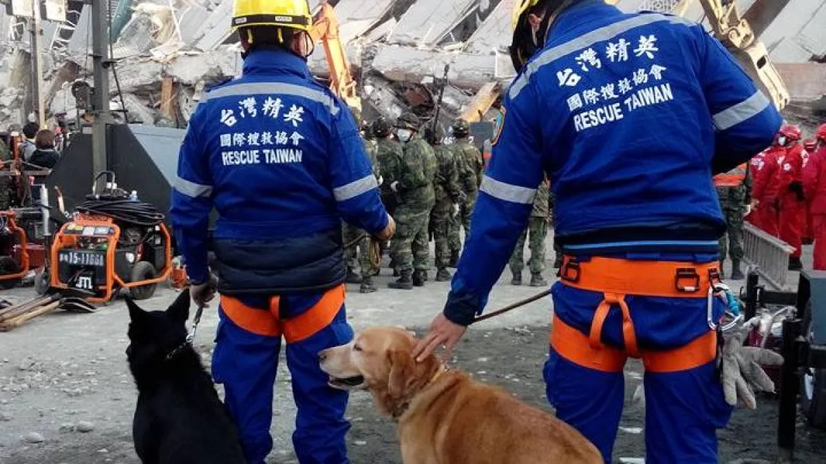 一次又一次的災難,總要學到教訓,檢討並修正災防法。(台灣精英國際搜救協會官網)