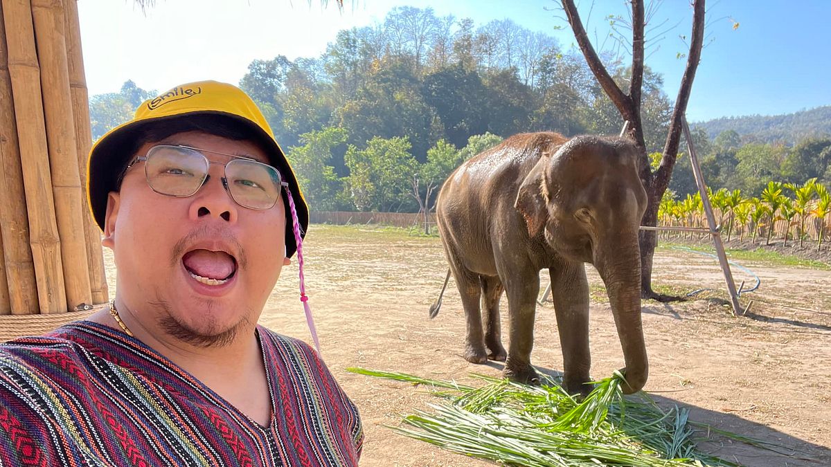 愛吃輝發聲回應了。(圖/翻攝自FB/愛吃輝) 愛吃輝發聲回應了。(圖/翻攝自FB/愛吃輝)